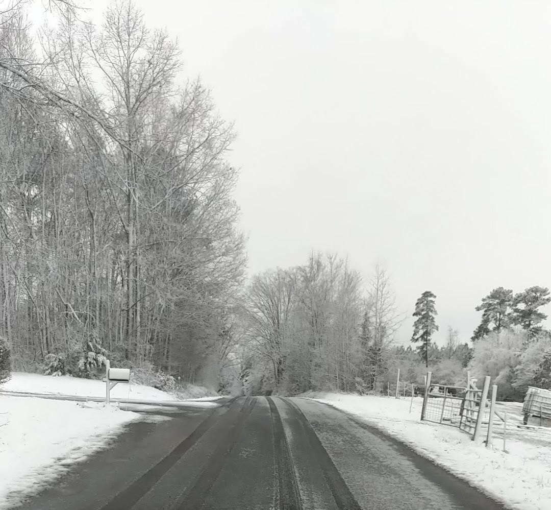 Minor road conditions on a neighborhood (secondary) route near the Brunswick/Dinwiddie county line